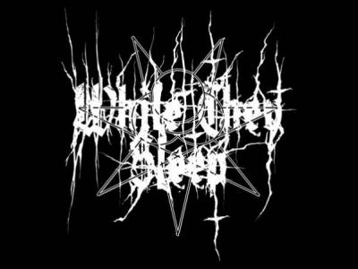 logo While They Sleep